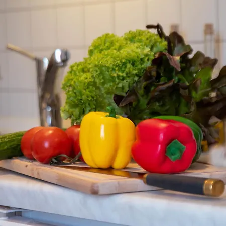 Apartament Molenstrasse By Interhome Norddeich (Norden)