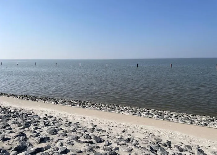 Molenstrasse By Interhome Appartement *